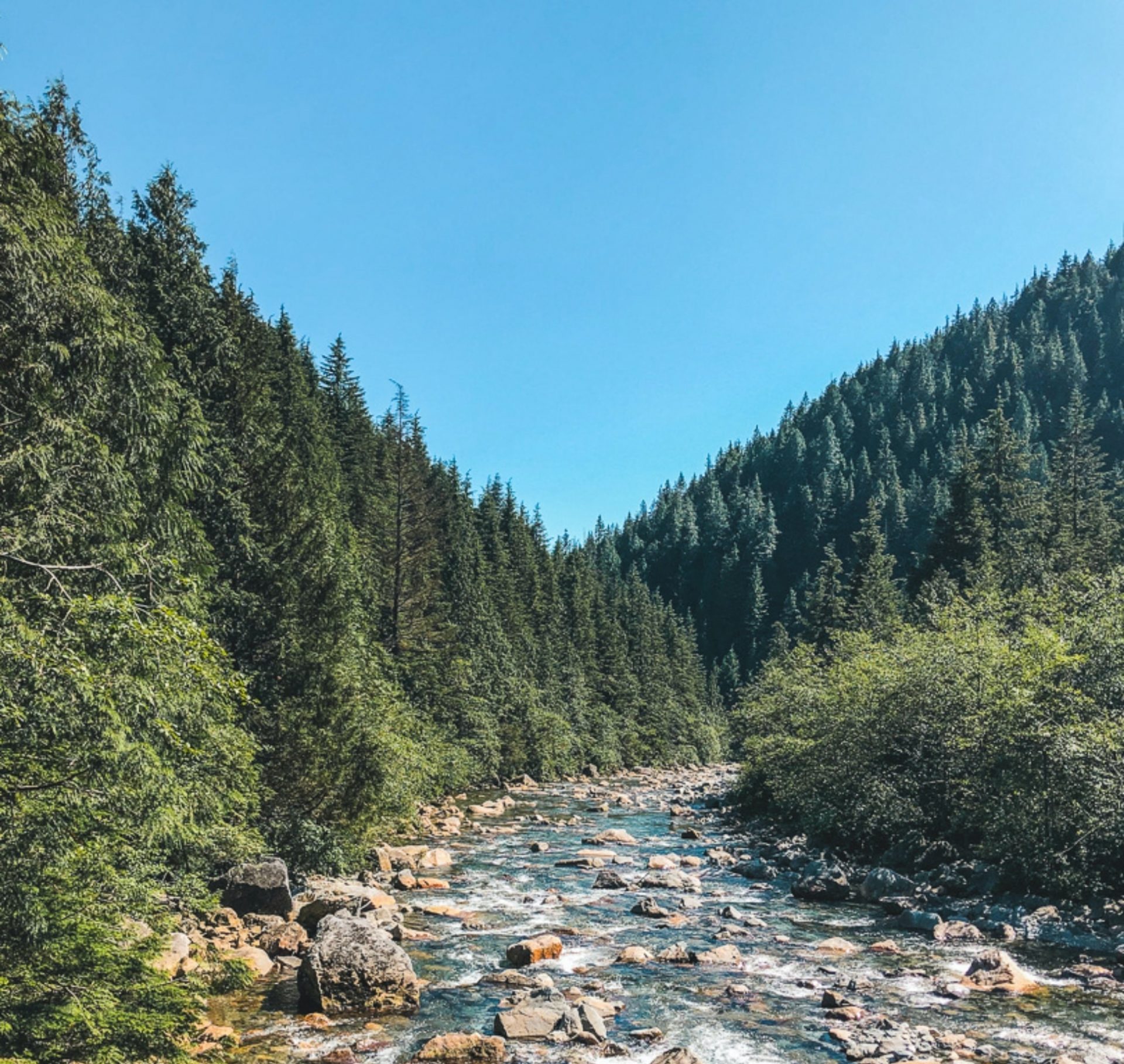 River in between green trees in Golden Ears Provincial Park in Maple Ridge